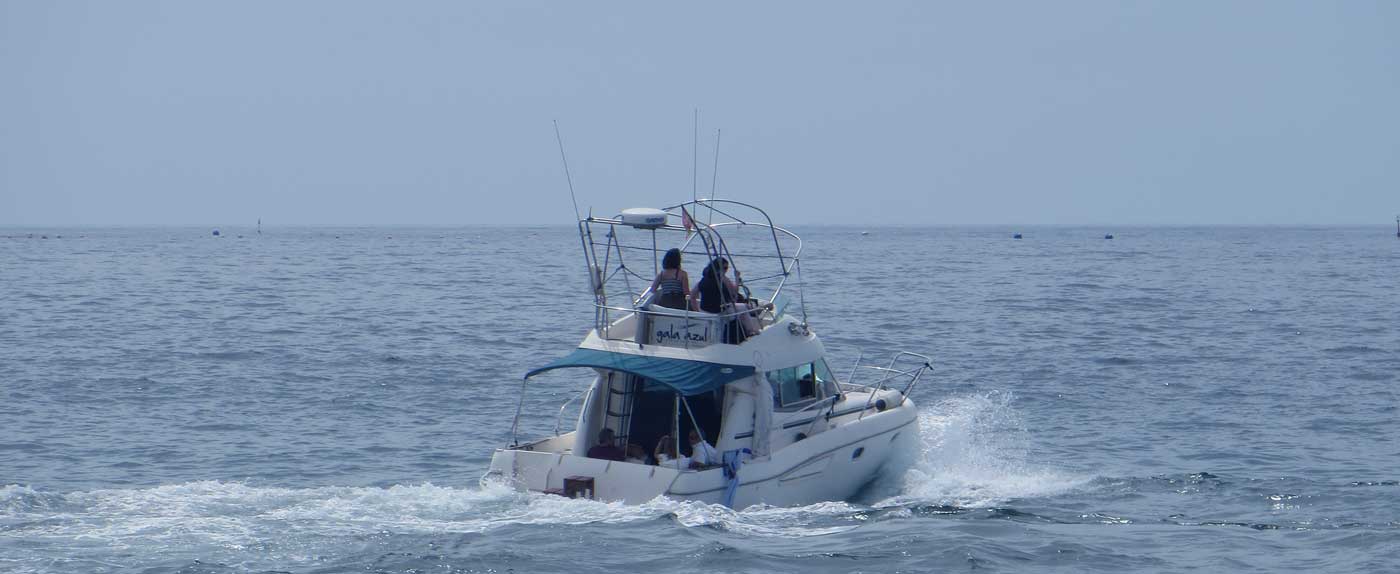  cenizas en el mar 